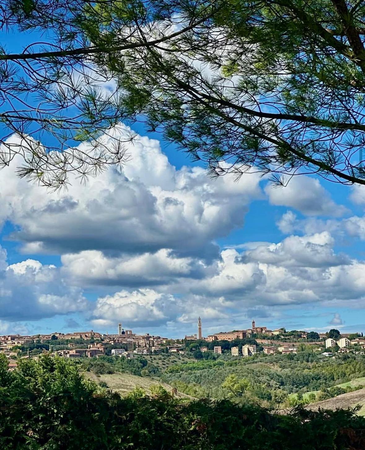 La Terrazza Sul Mangia *